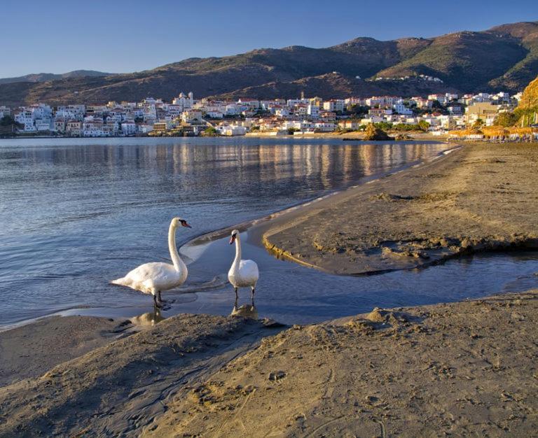 Πλατανακι 2 Seaview Apartment Ándros Eksteriør billede